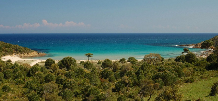 https://corse.n2000.fr/sites/corse.n2000.fr/files/images/page/marais_lavu_santu_littoral_fautea.jpg