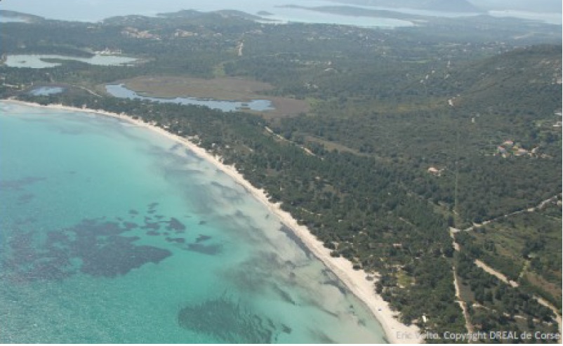 https://corse.n2000.fr/sites/corse.n2000.fr/files/images/page/pinarellu.jpg