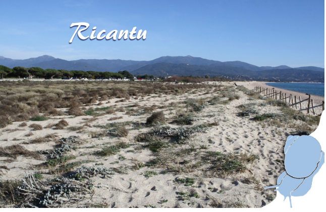 https://corse.n2000.fr/sites/corse.n2000.fr/files/images/page/ricantu.jpg