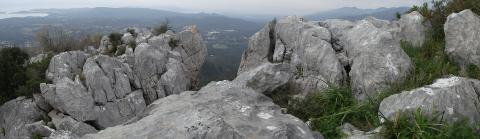 Pentes rocheuses calcaires avec végétation chasmophytique, Punta Calcina - C.Steiner